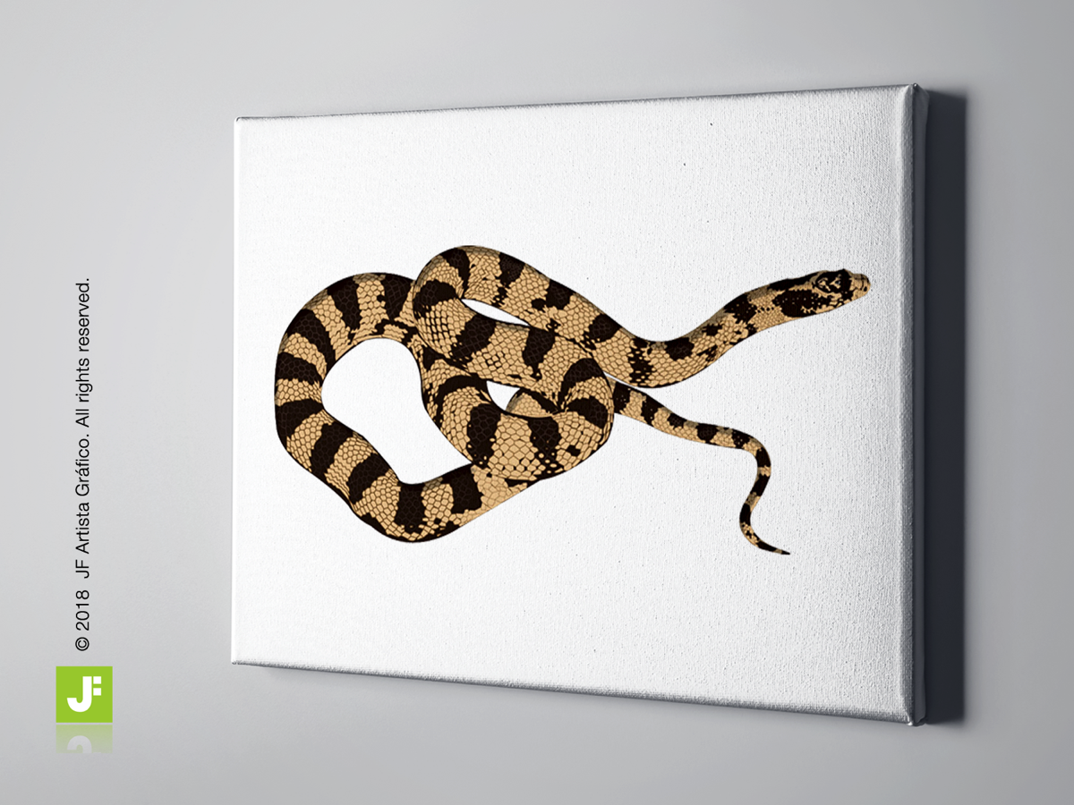 Ilustracion digital culebra